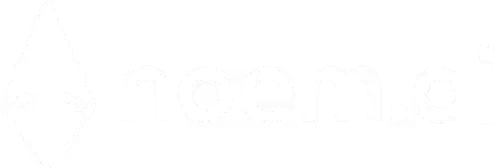 noem.ai